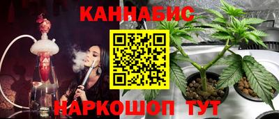 PSILOCYBIN Ирбит