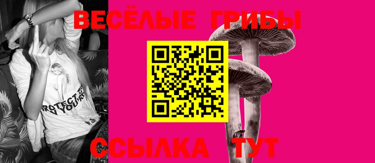 Галлюциногенные грибы Magic Shrooms Черняховск