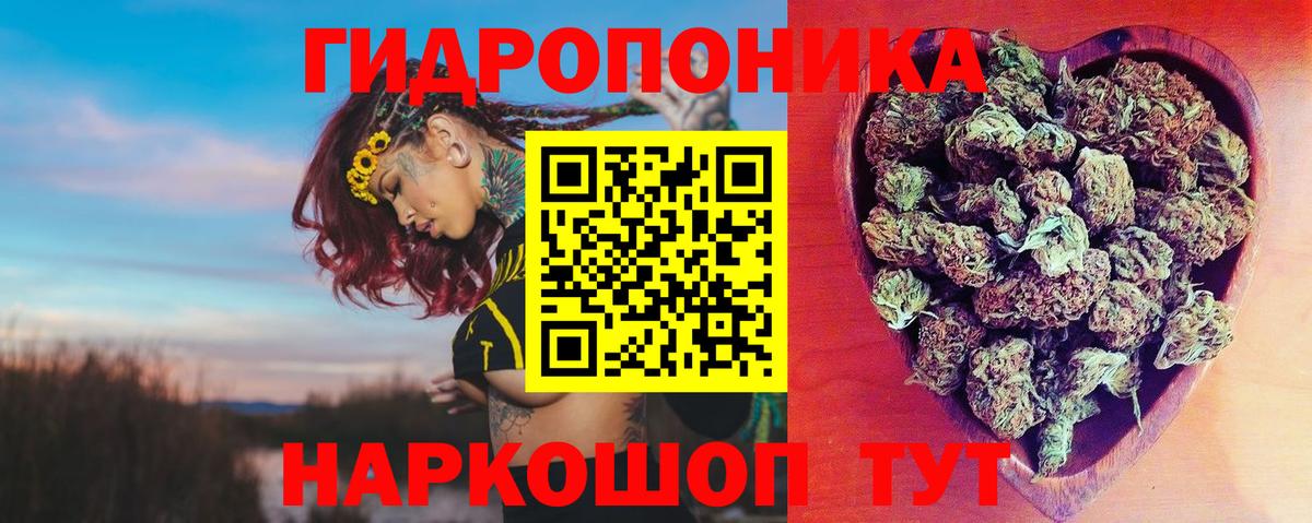 Каннабис Ganja  Шишки марихуана марихуана  Шишки марихуана план  Черняховск  Вход с VPN 